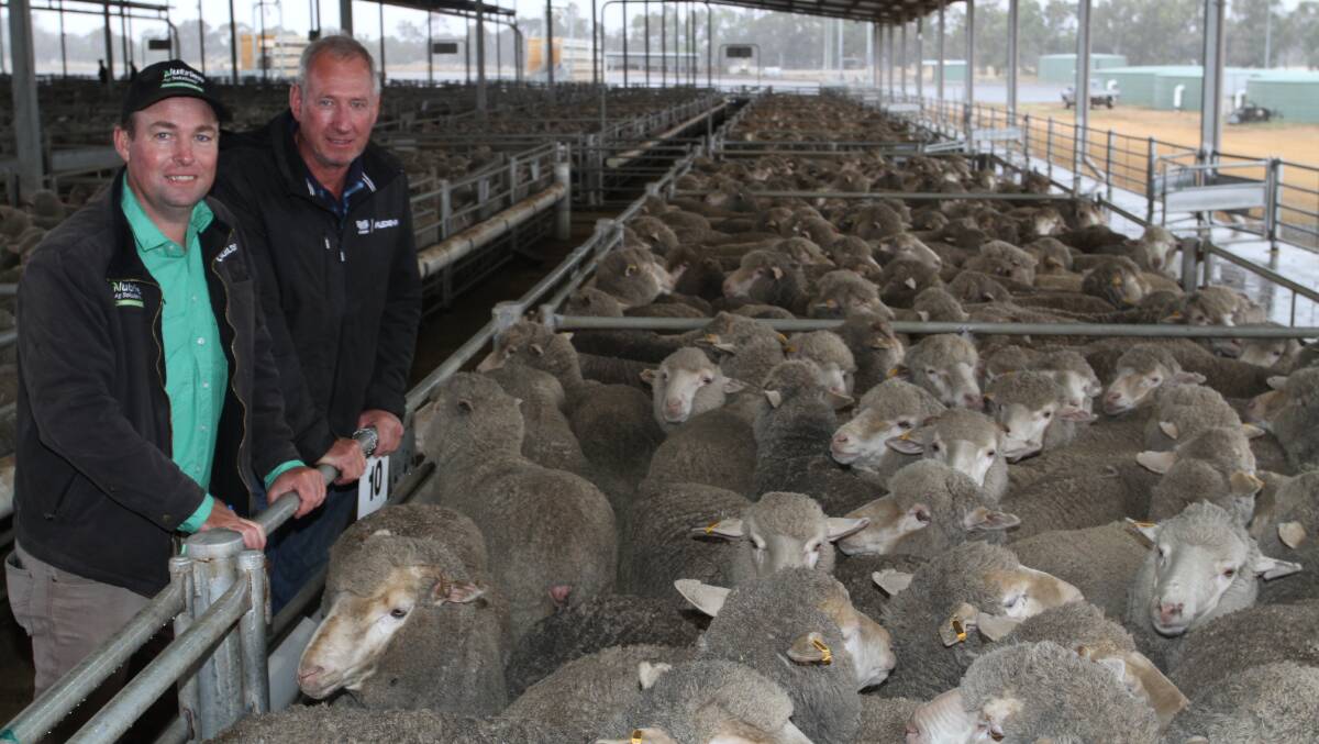 Nutrien Livestock Dumbleyung agent Scott Jefferis (left) and vendor Colin Ball, Dongolocking Farming, Dumbleyung, with the Ball familys draft of 223 July shorn East Mundalla blood 1.5yo ewes that sold for the sales $202 third top price to Nutrien Livestock Narrogin agent Ashley Lock representing a Wagin grazier.