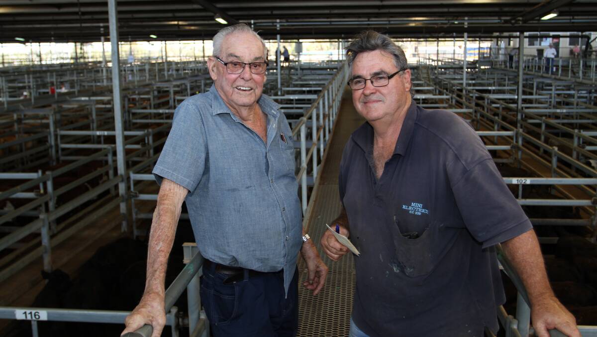 Vic Harding (left), Gingin and son-in-law Godfrey Read, Lower Chittering, looked over the yarding at the S & C Livestock weaner sale at Muchea last week.