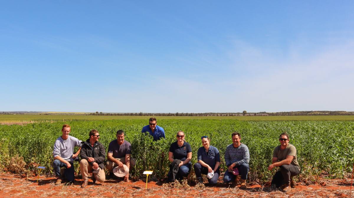 Six Liebe Group growers and two staff attended the three day bus trip.