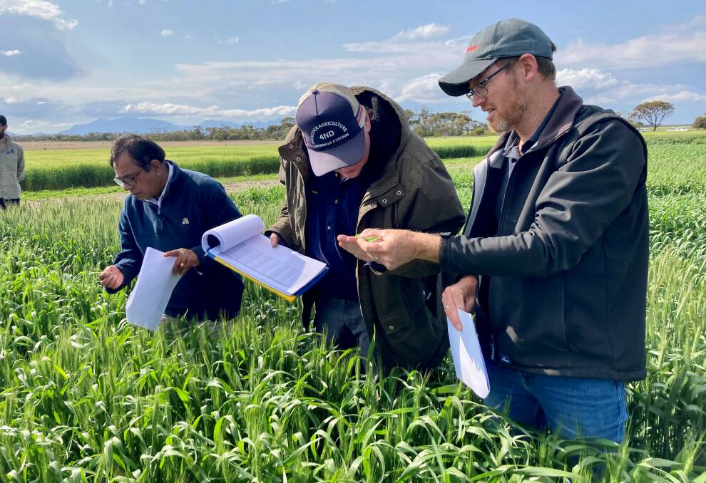 Department of Primary Industries and Regional Development officers Dr Kithsiri Jayasena, Joel Kidd and Jason Bradley. The latest information on plant and soilborne diseases and pests features in the 2024 Western Australian Crop Sowing Guide, now available from the department.