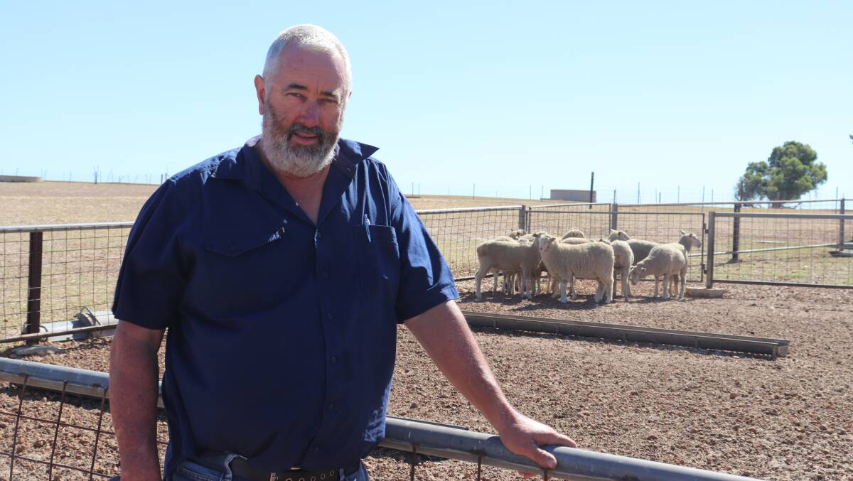 Eneabba/Perenjori sheep producer and acting chairman of the Central Wheatbelt Biosecurity Association, Chris Patmore.