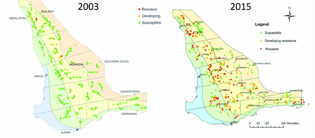  Clethodim resistance in WA in 2003 (left) compared to 2015