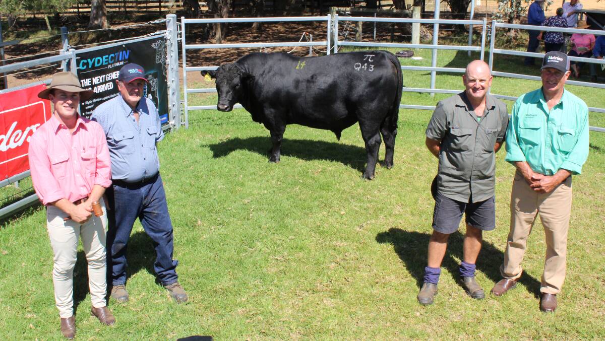 The second top-priced bull at the Tullibardine bull sale last week was an Angus which sold for $16,000. Pictured with the bull is Elders auctioneer James Culleton (left), Tullibardine stud principal Alistair Murray, buyer Luke Gatti, L & C Gatti, Redmond, and Nutrien Livestock, Great Southern livestock manager Bob Pumphrey.