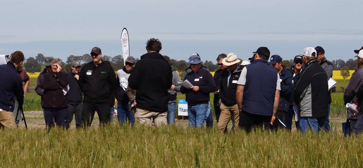 The Main Trial Site hosted more than 150 people at the annual Spring Field Day in September.