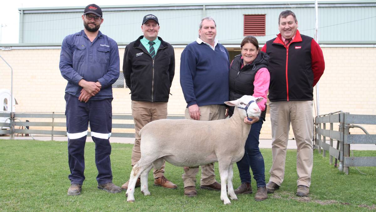  Buyer Michael Potter (left), Boree Park White Suffolk stud, Rhodes Pastoral Pty Ltd, Boyup Brook, Roy Addis, Nutrien Livestock Breeding, Andrew Greenup and Tamesha Gardner, Ida Vale White Suffolk stud, Kojonup and Tim Spicer, Elders stud stock, with the Ida Vale ram that sold for the sale's $8000 third top price.