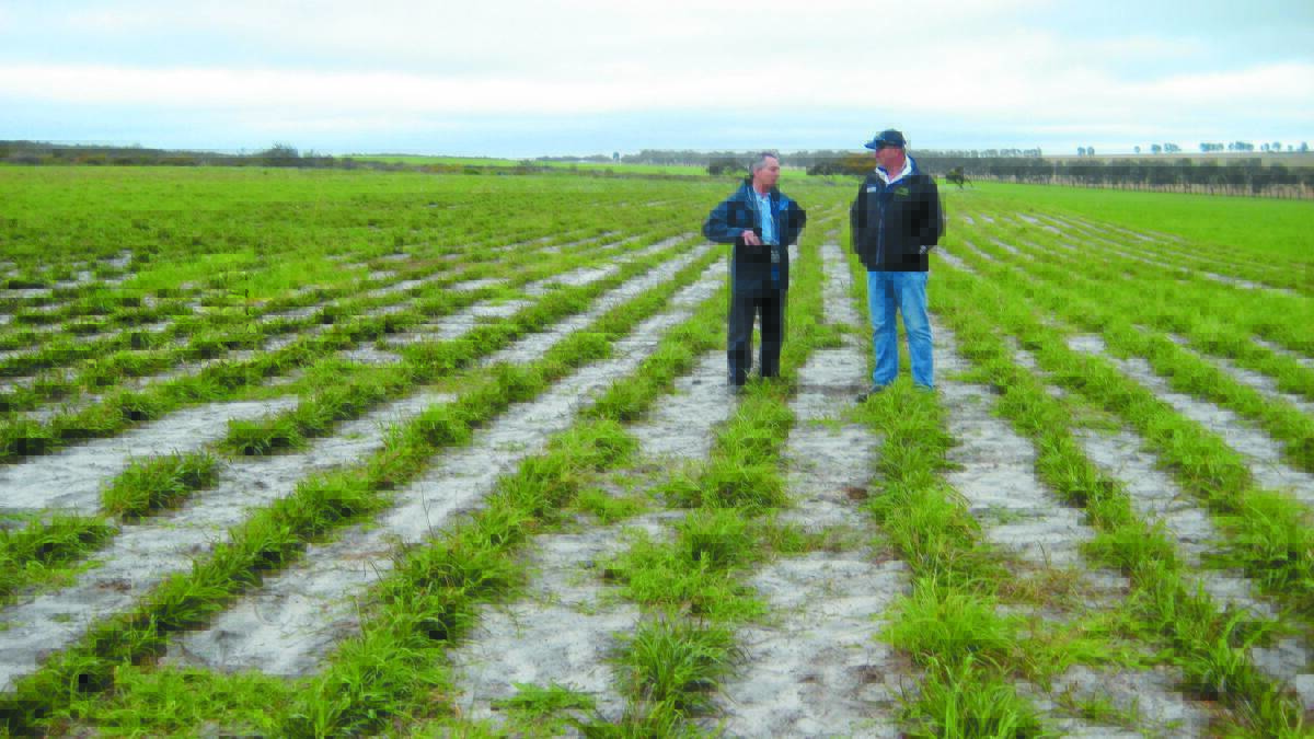 DPIRD research scientist Geoff Moore (left), talking to agronomist Owen Mann at a field day at Walkaway, said there is an opportunity to sow pastures and grasses in the next few weeks to mitigate the risk of wind erosion on bare paddocks.