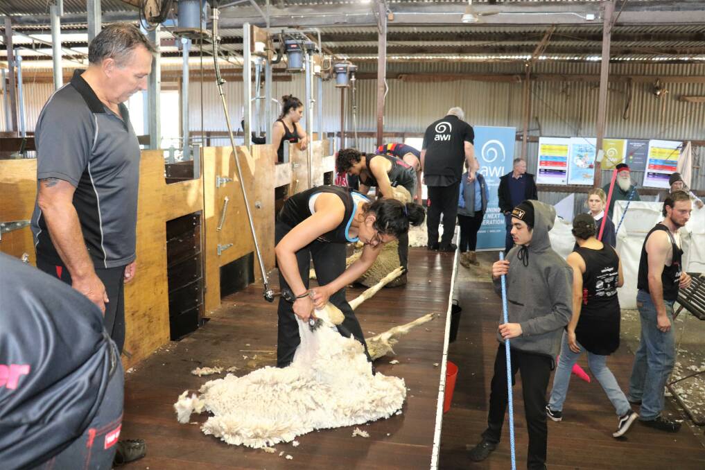  Heiniger Australia territory sales manager, shearer and shearing instructor Todd Wegner (left), watches closes as improver Holly Kingi-Carrington, 26, Miling, shears and Levi Clark, 18, Calingri, waits to clear the fleece.