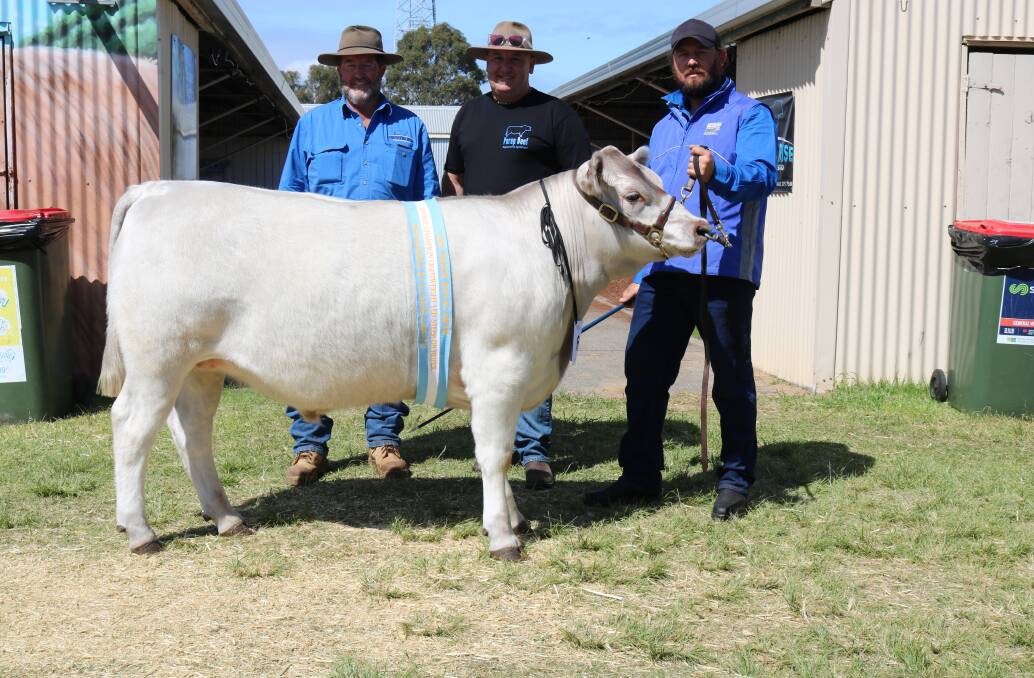  The reserve champion lightweight was this 377kg Square Meater steer prepared by Doug Wilcock (left), Preston Rise stud, Rosa Brook, exhibited by Ian Gale, Perup Organic Beef, Boyup Brook and led by Jason German, Sydney, New South Wales.