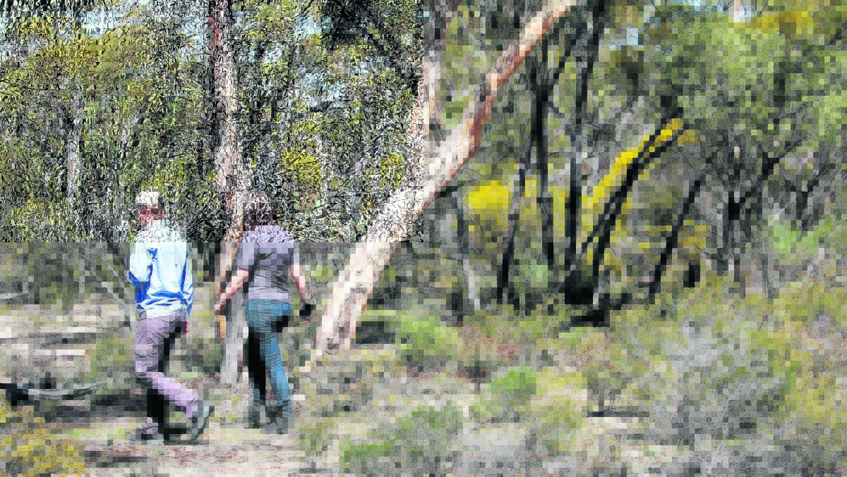 The Wheatbelt NRM is on the lookout for Wheatbelt landowners to engage in feral animal control and to protect the Wheatbelt's eucalypt woodlands.