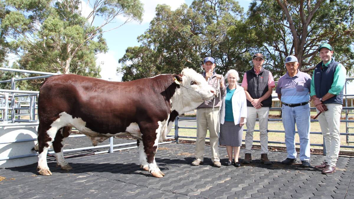 For the seventh consecutive year, the Francis family's Yallaroo Hereford stud, Busselton, topped the WALSA and Farm Weekly Supreme Bull Sale at Brunswick last week. With the $18,500 top-priced bull Yallaroo Pioneer P9 purchased by consistent top-priced Yallaroo bull buyer Eddie Wedge, ED Wedge, Gingin, were Yallaroo stud principals Rob (left) and Heather Francis, Elders south west livestock manager Michael Carroll, Phil Musitano, Brunswick, who represented the buyer and Nutrien Livestock auctioneer Michael Altus.