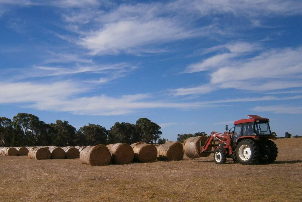 Farmers have been cutting, swathing, baling and stacking hay bales the past few weeks. Fields of round bales litter the South West as farmers work to store their hay in sheds and barns in preparation for summer.