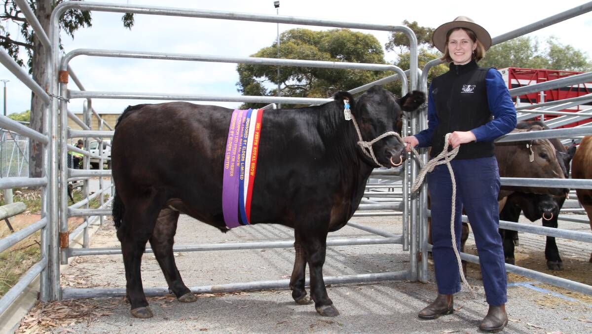 Handler and Murdoch University second year veterinary science student Georgia Ward with the Limousin-Murray Grey grand champion and champion heavyweight led steer that sold for the sale's $6800 second top price to Harvey Beef.