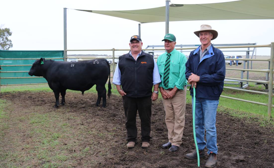 With the $27,500 top-priced bull for the season sold at the Coonamble Angus on-property bull sale at Bremer Bay in February were sale sponsor Ben Fletcher (left), Zoetis, Nutrien Livestock southern manager Bob Pumphrey and Coonamble stud co-principal Murray Davis. The top-priced bull was bought by Richard and Robyn Walker, RF & RE Walker, Wilga.