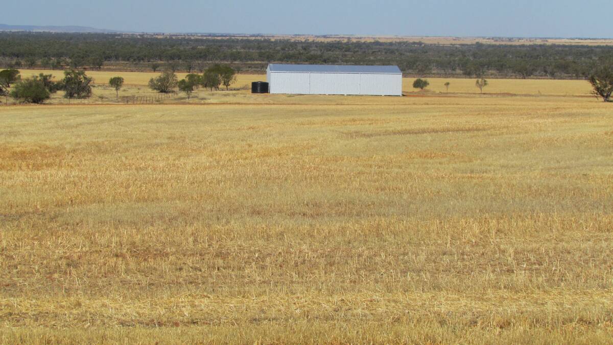 Bellaranga, Morawa, at 9958 hectares, was purchased by the Westchester Group for understandably about $20 million. Photo: Nutrien Hacrourts WA.