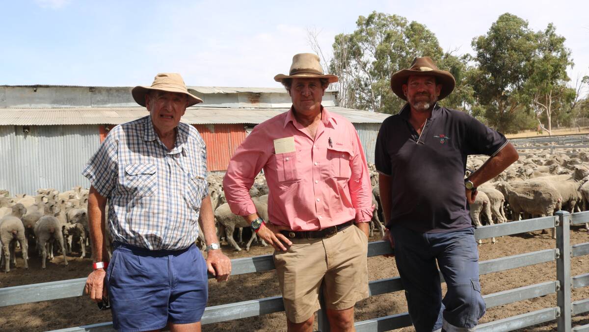 Top priced and volume buyers John (left) and Alan Price (right), Pingelly, with Elders Narrogin agent, Paul Keppel in front of the pen of 450 green tag Merino ewes that sold to a sale high of $248 a head.