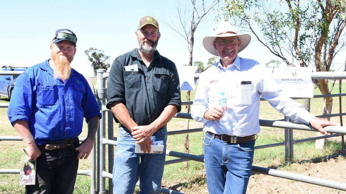 Looking over the bulls on offer by the Biara Santa Gertrudis stud were Chris Haase (left) and Trevor Schutz, Banksia Park Farming, Laverton Downs station, Laverton and Biara co-principal John Hasleby. In the sale Mr Schutz purchased three Biara sires to a top of $7500 and an average of $5667.
