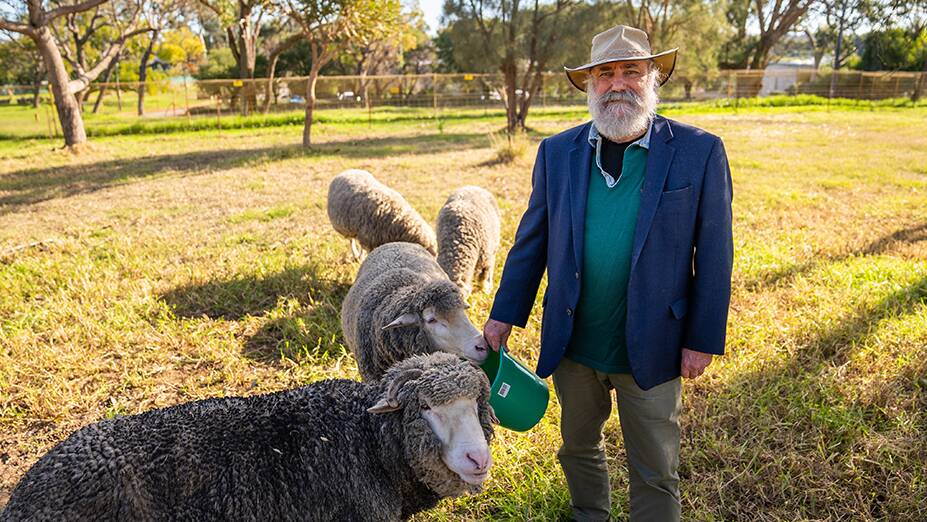 Professor Graeme Martin is celebrating 50 years at The University of Western Australia this year, as a student, teacher and major contributor to agricultural research.