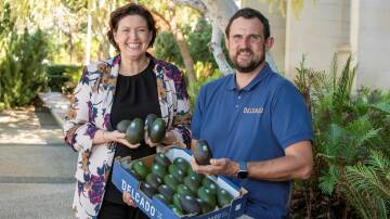 WA Agriculture and Food Minister Jackie Jarvis and Delroy Group general manager Ben Norrish celebrating the arrival of WA avocados in India.