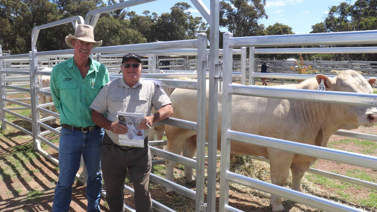 Looking over the bulls before the sale were Nutrien Livestock, Mt Barker agent Charlie Staite (left) and Ken Frost, Frost & Cave Farms, Kendenup. During the sale Mr Frost purchased two bulls at $6000 each.