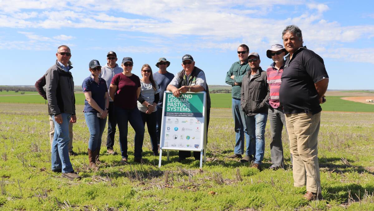 Badgingarra farmer and chairman of the Pasture Grower Association of WA David Paish (left behind) hosting a tour group from the South Australian Research and Development Institute (SARDI) last week. He is pictured with Department of Primary Industries and Regional Development senior research officer pasture breeding, agronomy and ecology Angelo Loi (front left) and Global Pasture Consultants Neil Ballard (centre) and Alosca Technologies business development manager Floyd Sullivan (right). The Pasture Tour was part of the $18 million Dryland Legume Pasture Systems project.
