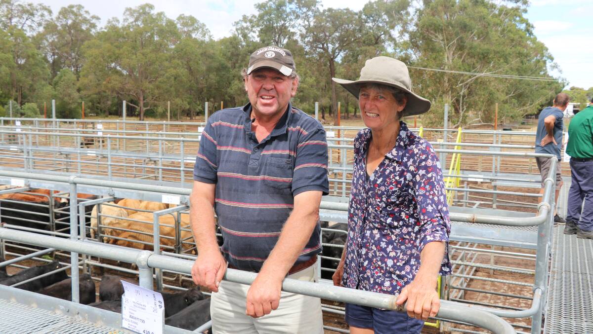 Phil and Lyn Foster, Yallingup, checked their steers that sold to $2180 at the Nutrien Livestock store cattle sale.