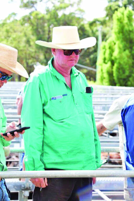  The dominant buyer of the heavier cattle in the sale was Kevin Armstrong. Mr Armstrong bought numerous pens of steers for Kalgrains, Wannamal.