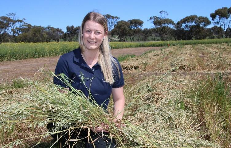 DPIRD plant pathologist Kylie Chambers at the 2020 Muresk trial. Photo by DPIRD/Christiaan Valentine.