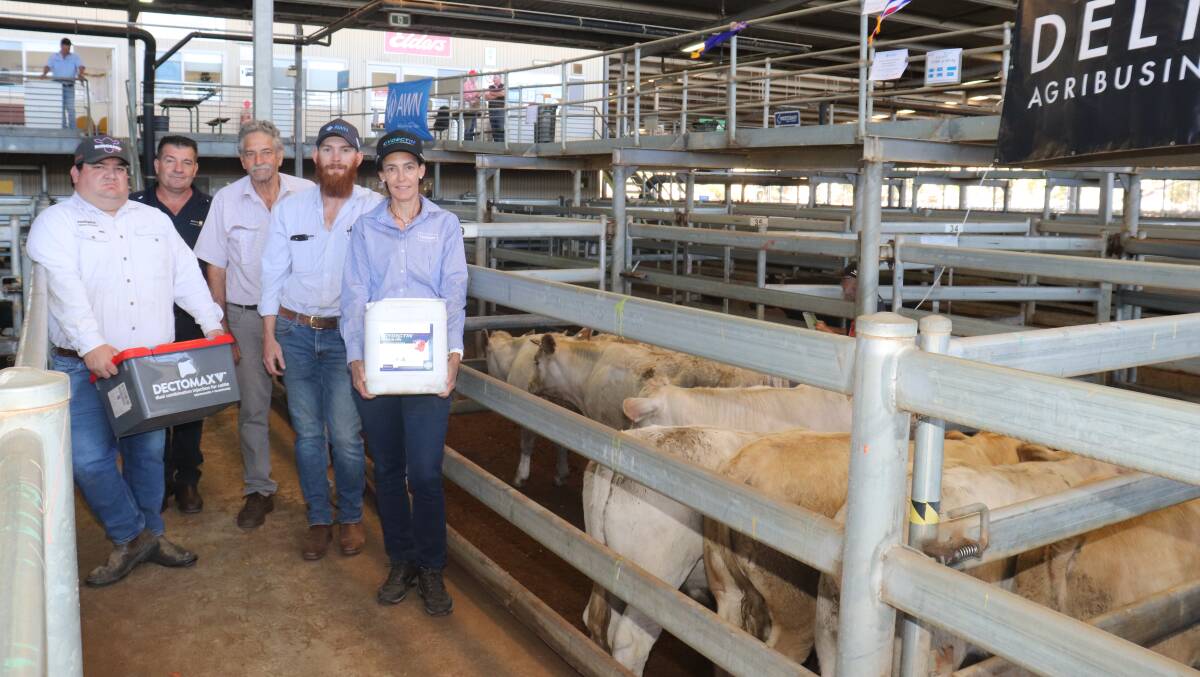 Winning the Champion pen of Charolais sired steers and Grand Champion pen of Charolais sired calves was the Elliott family, GJ Elliott, North Dandalup. With the pen of seven steers that sold for $1028 at 254c/kg was Zoetis representative and sponsor Jarvis Polglaze (left), competition sponsor and Delta Ag business development manager Animal Health WA Darren Hendry, David Ellis, Kooyong Charolais stud, AWN Livestock representative Daniel Jones and Virbac central WA area sales manager and sponsor Kylie Meloury.