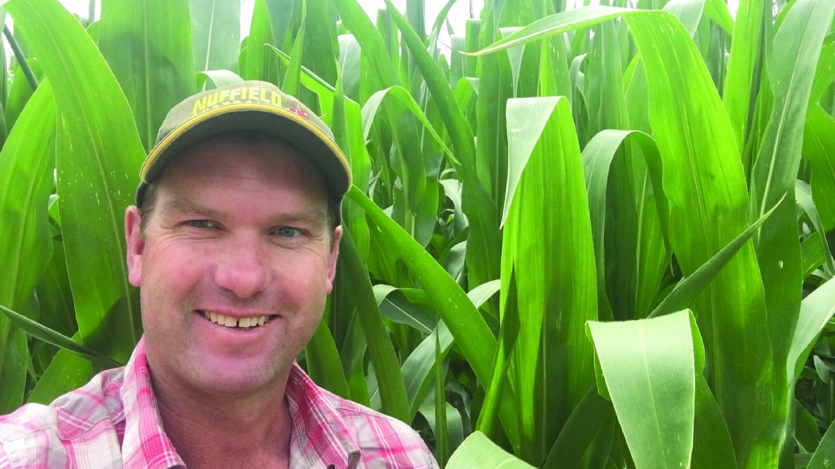 South Australian farmer Grant Pontifex said regardless of soil type, rainfall, rotation, elevation and climate, the principles of improving soil health are the same.