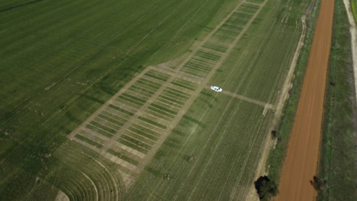 A drone shot of CSBP nitrogen efficiency trials hub at Three Springs.