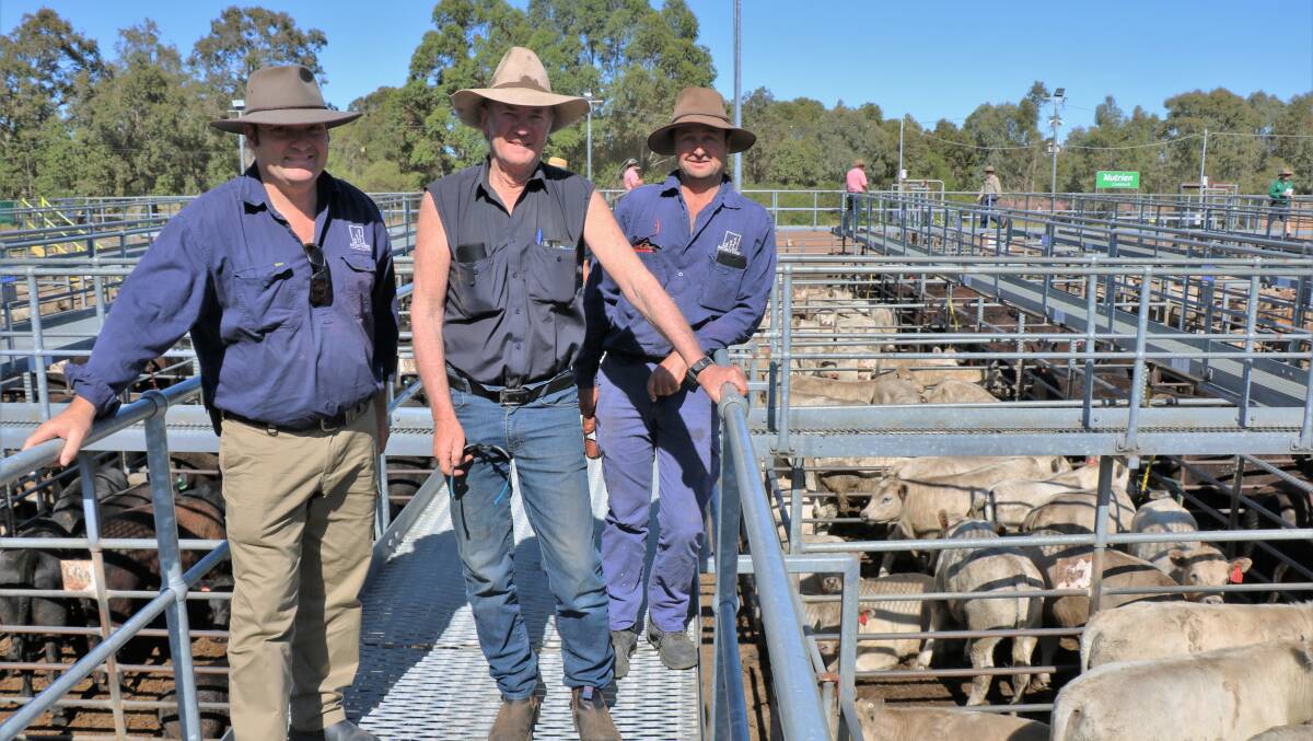 Barry Bell, Bardoo Stud, Elgin, checked clients calves at the sale and was pictured with Rohan McIntyre (left) and Michael Enty, Waroona. The McInytres sold numerous pens of Charolais calves.