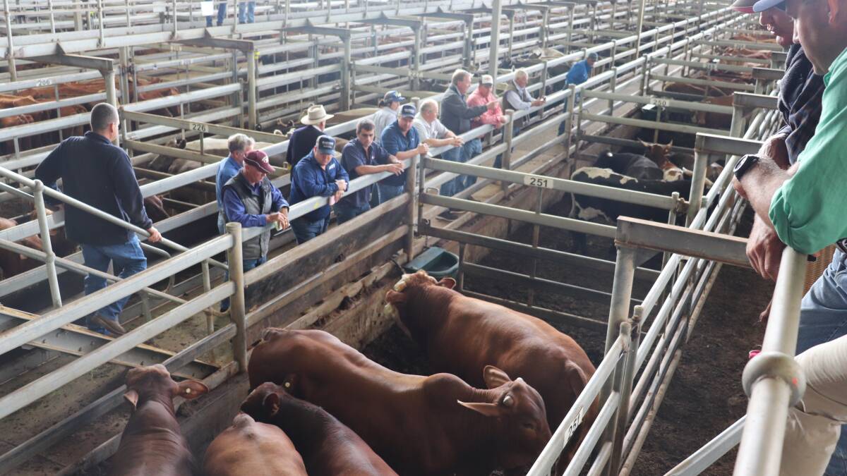 Cattle market strong with demand high