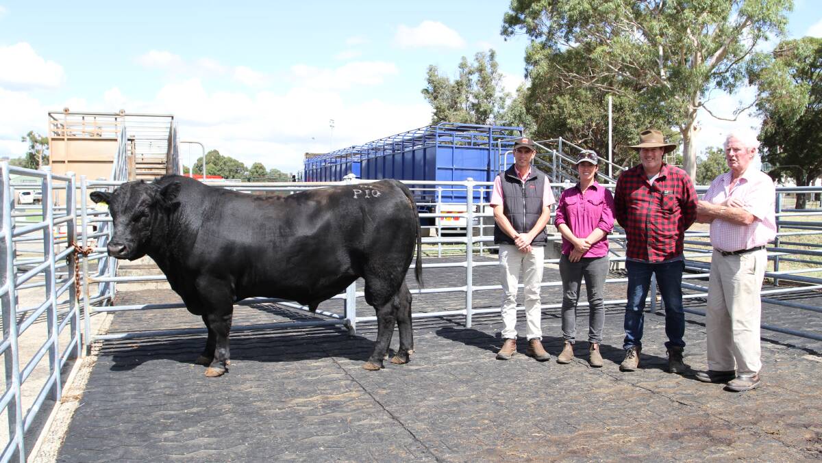 With the $11,500 top-priced Angus bull Islay The Piper P10 (AI) were Elders south west livestock manager Michael Carroll (left), buyers Lyndsay and Mal Phillips, Kanangra Grazing, Manjimup and John Young, representing his grandchildren's Islay Angus stud, Narrogin.