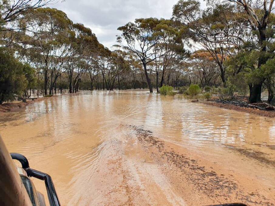 Salmon Gums farmer Tim Starcevich took this photograph after receiving substantial rain earlier this week.