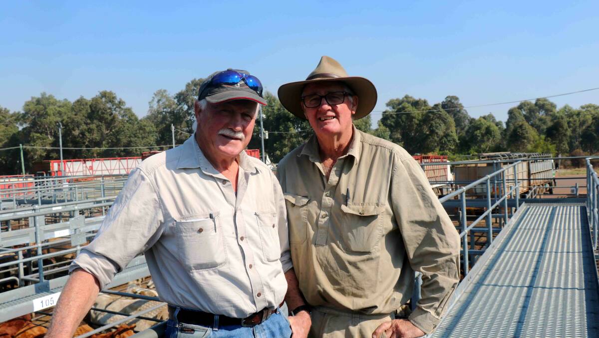 Sale vendors Steve Jackson (left), Boyup Brook, was at the sale to see the last of his cattle sell for the season and was pictured with Chris Scott, Gelorup, who had several lines of young cattle also in the sale.