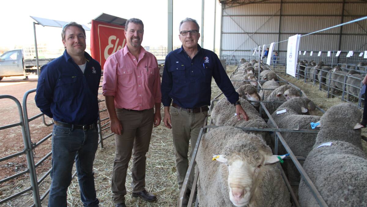 Seymour Park stud and Cadogan Estates classer Nathan King (centre), Elders stud stock, with volume buyers at the Seymour Park sale Cadogan Estates Pty Ltd (Australia), Williams, farm manager Hamish Cook (left) and general manager Tim Johnston, who purchased 50 rams at the sale.
