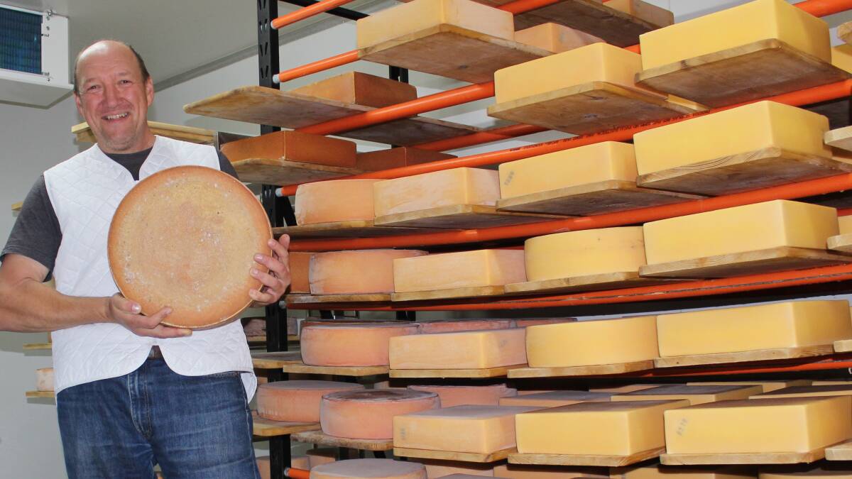  Swiss-trained Denmark cheesemaker Chris Vogel won two prestigious national awards with his cheeses at the Australian Grand Dairy Awards.