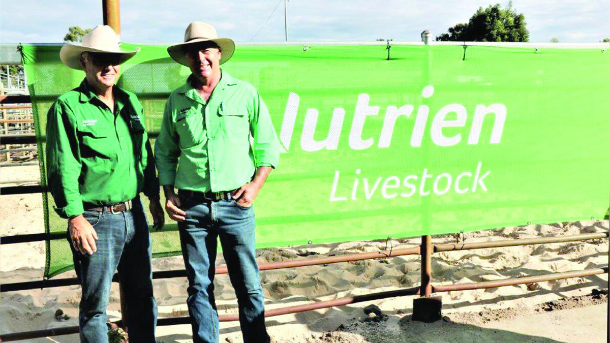 Nutrien Livestock State manager Leon Giglia (left) and Nutrien Livestock, Waroona agent Richard Pollock after the sale. Mr Pollock made a run for major buyer in the second half of the sale.