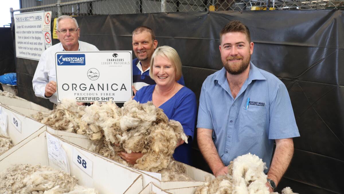Russell Lockyer (left), son-in-law Gavin Penn and daughter Stephanie Penn, all of Bolgart, pictured with Westcoast Wool & Livestock's Organica Precious Fibre specialist Justin Haydock, achieved 5-7 per cent premiums for their first declared non-mulesed Organica clip. Seven years of breeding plain bodied Dohne Merinos led up to Mr Lockyer and the Penns being able to cease mulesing and their wool becoming eligible for the Organica program.