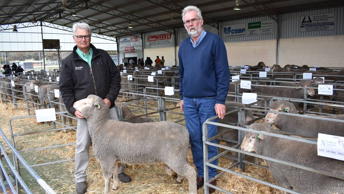 Nutrien Livestock Williams representative and Noorla Dohne stud classer, Peter Moore (left) with Noorla Dohne stud principal Jeremy Genders, with the second top-priced Dohne ram of the sale, which sold to regular volume buyer Tim Pyle, Jeff Pyle & Co, Manypeaks, for $1700.