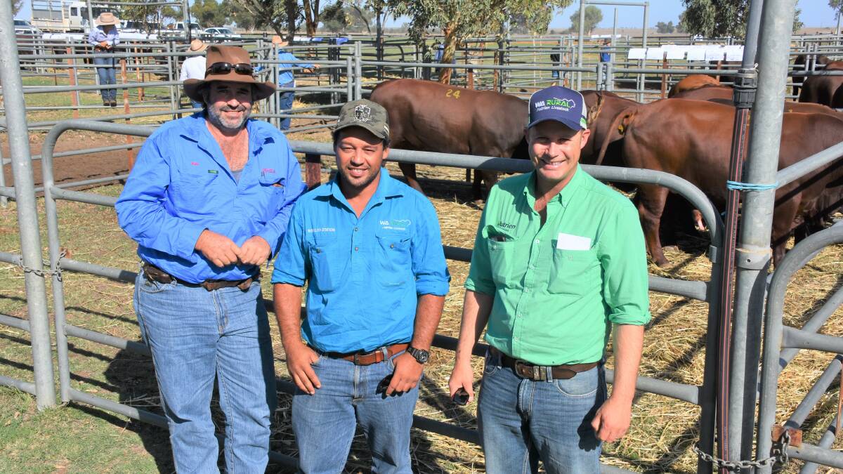 Rio Tinto Pastoral representatives Rob Morgan (left) and Davey Green, with the support of Nutrien Livestock, Pilbara and Gascoyne agent Shane Flemming, were very active buyers for Hamersley station, Tom Price. They purchased 10 Biara bulls to a top of $7500 and an average of $5350 and two Wendalla sires at $11,000 and $6500.