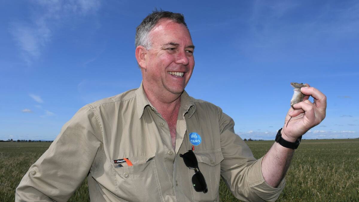 CSIRO researcher Steve Henry pictured in a paddock near Mallala, South Australia, during a recent monitoring exercise. Photograph by GRDC.