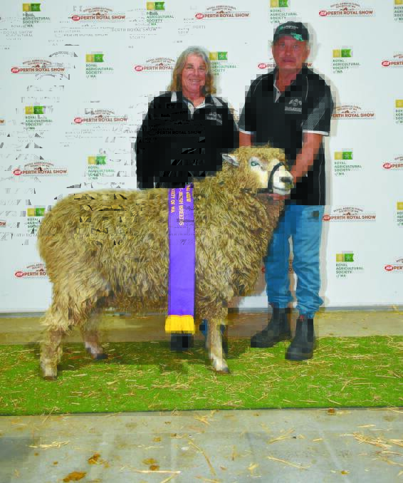The supreme and grand champion British breed ram was this Lincoln ram exhibited by the Eaglenook stud, Keysbrook. With the ram were stud principals Ruth and Ross Miller.