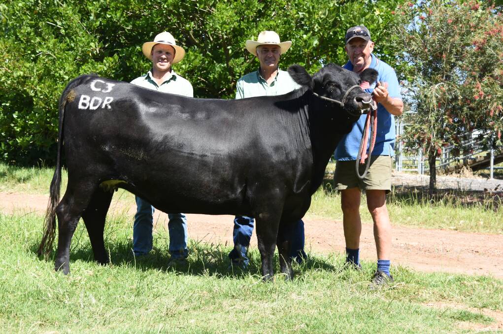 Landmark South West livestock manager Matt Watts (left), Landmark WA livestock manager Leon Giglia and Peter Milton, Dardanup, with Clementine III, this year's Black Dog Ride charity heifer which will be offered in lot one. All of the heifer's sale proceeds will be donated to the Black Dog Ride.