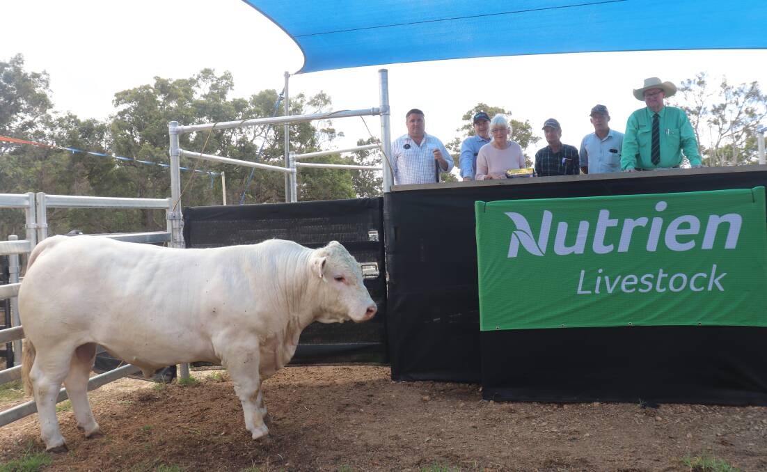 With the top-priced $11,000 Charolais bull Silverstone Quick Oats Q89 (P), was stud co-principal Jon Imberti (left), Virbac representative Tony Murdoch, buyers Betty and Bill Jackson and son Jim Jackson, Frankland River and Nutrien Livestock auctioneer Tiny Holly at Narrikup.