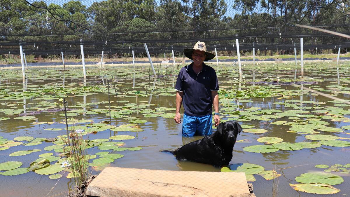 Leuca Creek co-owner Martin Staines with dog, Holly.
