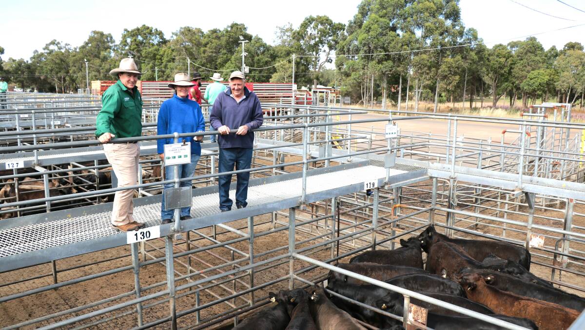  Nutrien Livestock, Bridgetown agent Ben Cooper (left), with clients Natalie Clynch and Les Brookes, Yornup, before the Nutrien Livestock store cattle sale at Boyanup. The Brookes calves topped both the weaner steer and heifer markets with their steers selling for $1082.