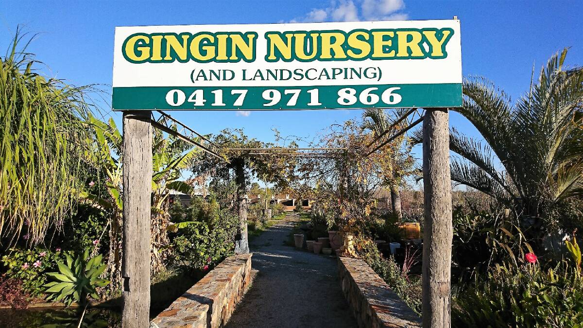 Gingin nursery offers lots of opportunity