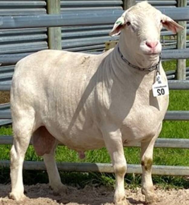 The lot 2 ram that sold for $90,000.