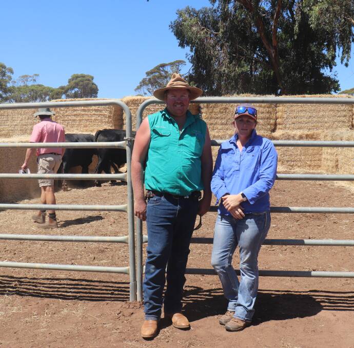 Matthew Hall, Meekathara and Carenda's Daniegh Renton looking over the bulls on offer before the sale.